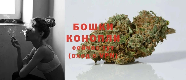 стаф Магадан