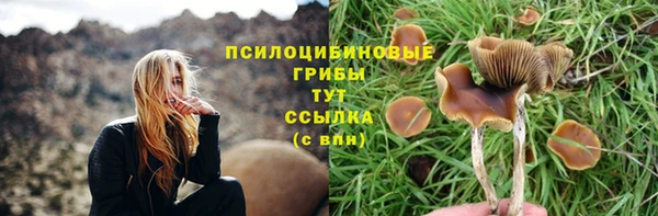 стаф Магадан