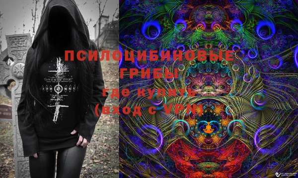 ГАЛЛЮЦИНОГЕННЫЕ ГРИБЫ Лихославль