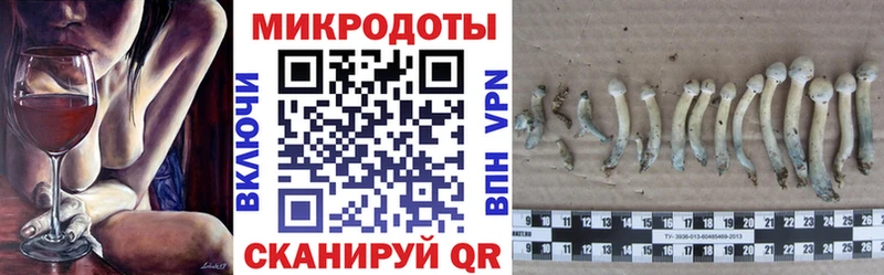 купить наркотики цена Ладушкин Псилоцибиновые грибы мицелий